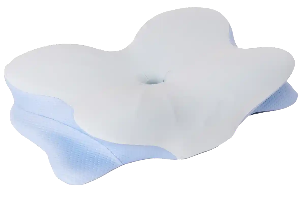 Derila Ergo Pillow Buy Online — Butterfly Contour Design USA 2026